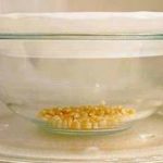 Microwave popcorn, no bags, no butter, no oil! Recipe Image