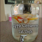 APPLE CINNAMON FAT FLUSH Recipe Image