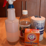 FLEA & TICK REMEDY Recipe Image