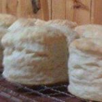 Sherry's Yummy Tea Biscuits Recipe Image