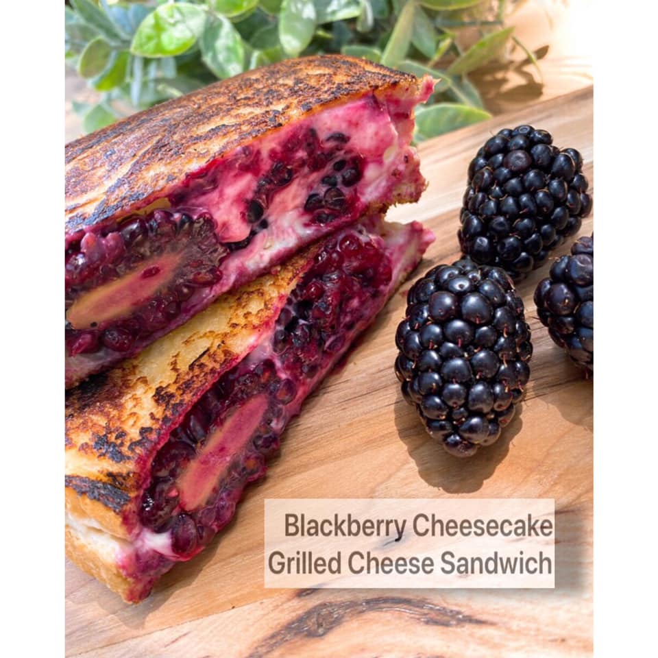 Blackberry Cheesecake Grilled Cheese Sandwich