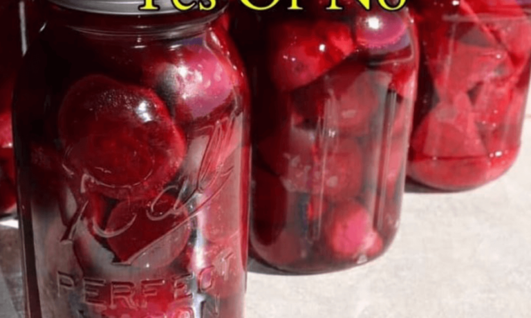 Pickled Beets Recipe Recipe Image