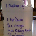 DIY Mold Removal Recipe Image