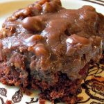 TEXAS SHEET CAKE RECIPE Recipe Image