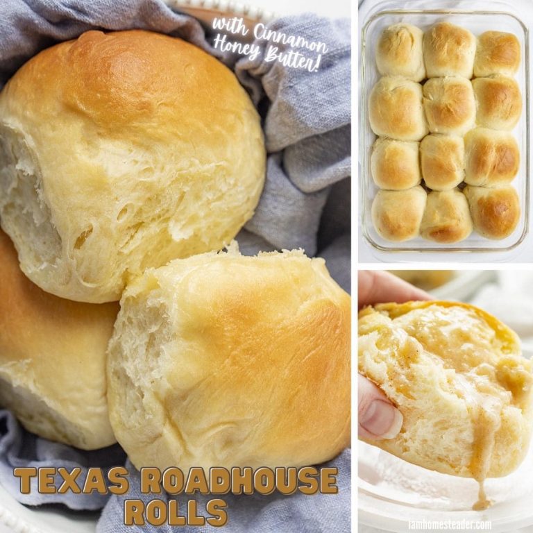TEXAS ROADHOUSE ROLL Recipe Image