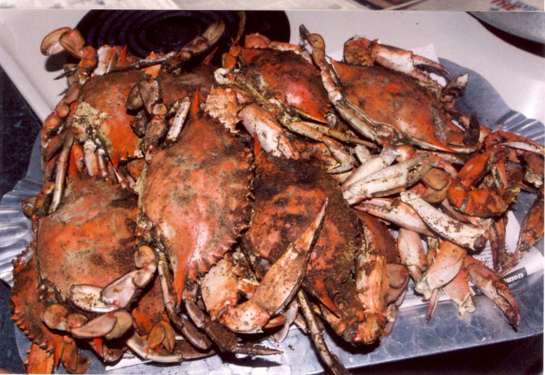 Classic Maryland Crab Feast Recipe Image