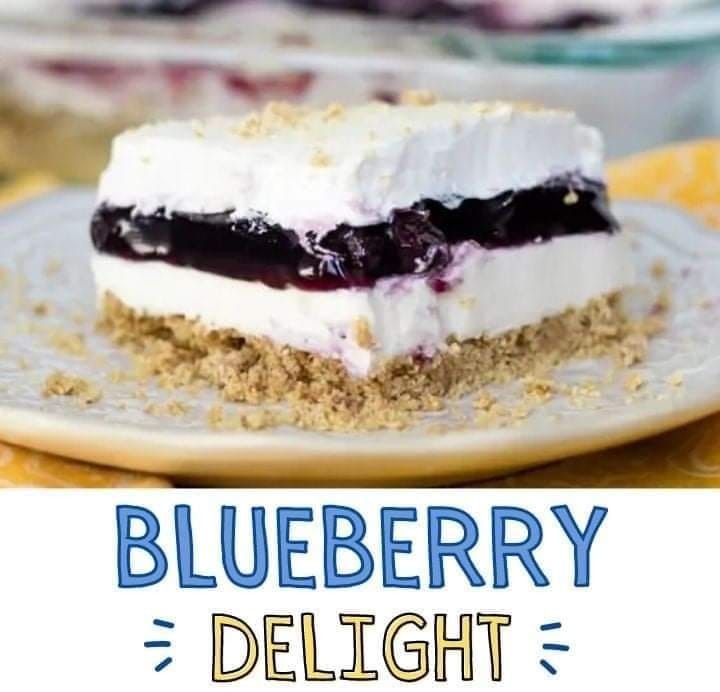 BLUEBERRY DELIGHT - Susan Recipes